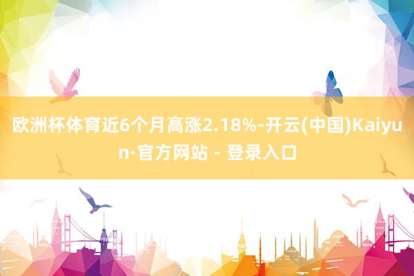 欧洲杯体育近6个月高涨2.18%-开云(中国)Kaiyun·官方网站 - 登录入口